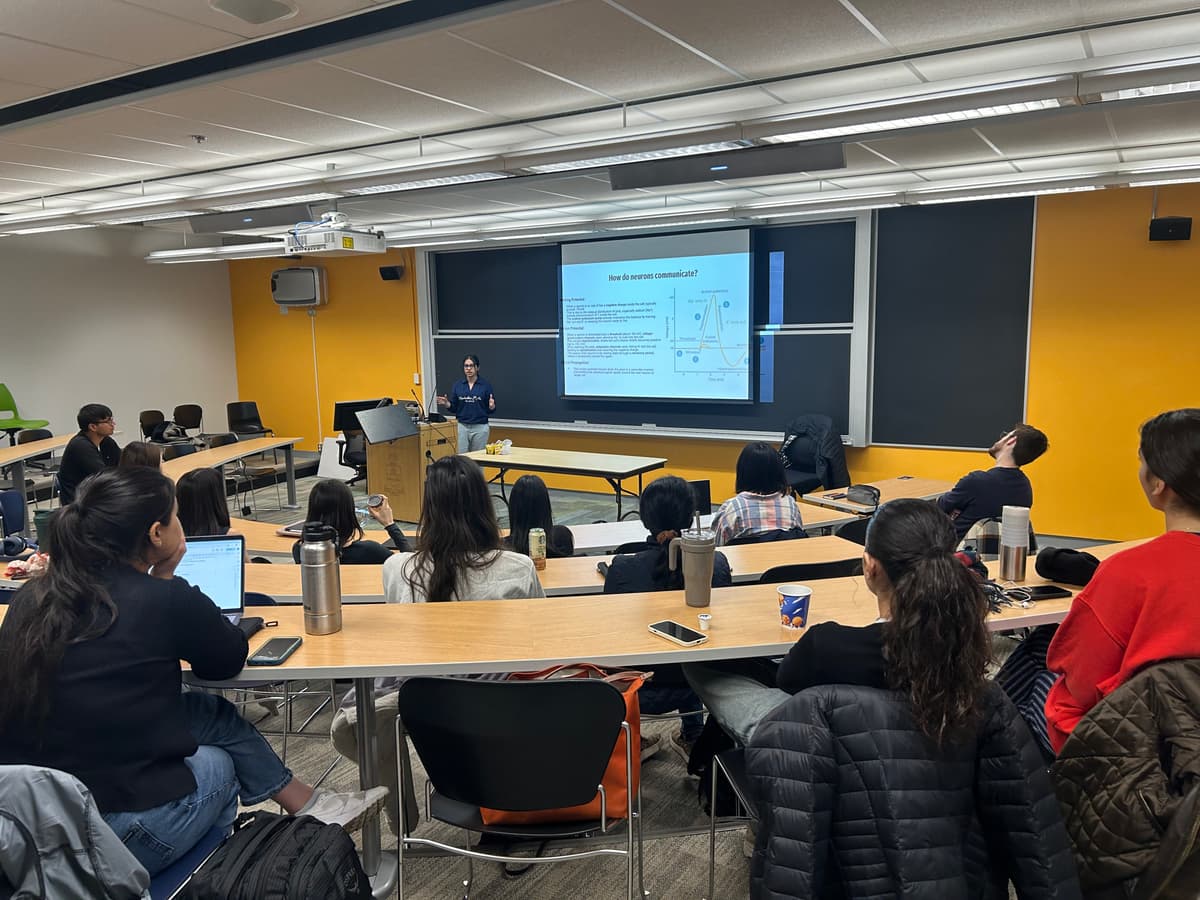 Post-Stroke Rehab project